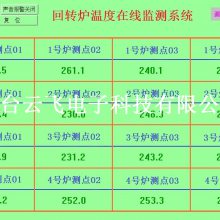 回转烘干炉温控仪 烘烤炉温度测试仪 烘干炉无线测温系统