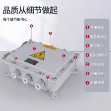 防爆接线箱配电箱 可配装多种类型接线端子 不锈钢控制箱BXJ系列