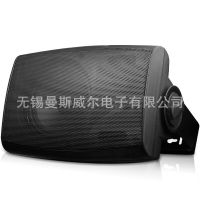 莜迪声壁挂音箱背景音乐系统公共广播商场会议培训音响30W