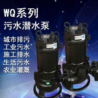 65WQ35-7-2.2ʽˮ۱