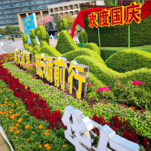 草花 节日摆花 绿丛园林