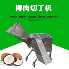 广州九盈TJ-1500D椰子肉切丁机 海南椰肉切丁设备厂家