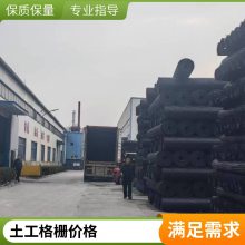 世杰 TGDG单向拉伸塑料土工格栅 路基增强 挡土墙加筋