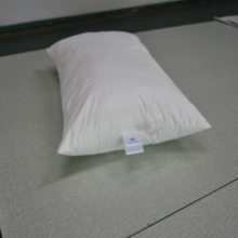 40*65cm单人应急方形枕头应急救灾枕头酒店宾馆用替换枕芯