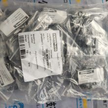  Automation Direct P2-16TD2P