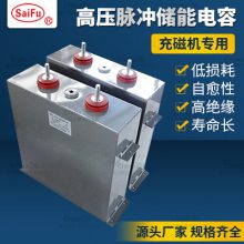 供应 赛福4000VDC 300UF脉冲铝镍钴充磁机储能电容