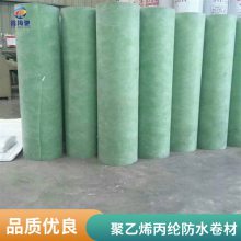 聚乙烯丙纶防水卷材 海驰防水 涤纶高分子复合卷材 300g400克 TS丙纶布SBC