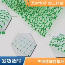 EM5植草绿化世杰三维植被网垫 河道护坡固土 规格全施工简单