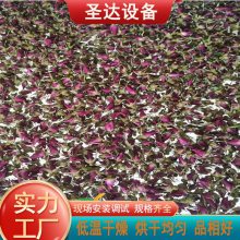 ջ ջ豸 ṩɹ