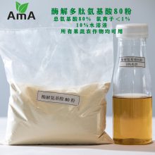 酶解氨基酸80粉 OMRI有机证 多肽小肽氨基酸粉80% N16%