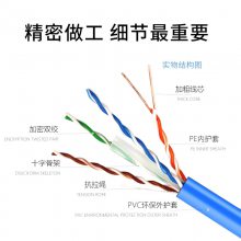 t늹 Ʒ(gu)(bio)o(w)~CAT6aǧ׳W(wng) 8оpgξ