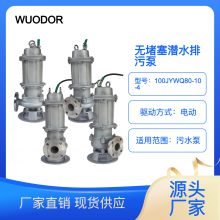 WUODORֵԶˮ100JYWQ80-10-4Ǳˮ۱
