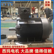 ˼YBBPϵ YBBP-5604-8 710KW ƸͱƵ10KVѹ