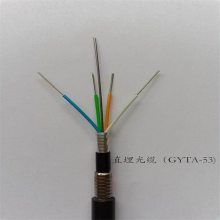 单模4芯光纤GYXTW-4B 室外光缆中芯束管式光缆2芯 24芯 48芯