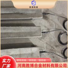 胜博 镁合金牺牲阳极套装含电缆线埋地管道防腐 阴极保护测试桩
