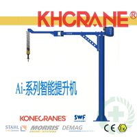 DUNBARTON/80/150/300/600kgŷ ޼ŷ綯«