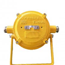 硐室 监控照明-矿用隔爆型LED支架灯 型号DGC24/127L