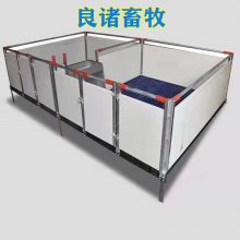 猪场新型设备欧式母猪产床保育床限位栏自动料线