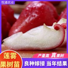 ڽմҶ̨Ʒּ޽ϷͥԺԵ꿪