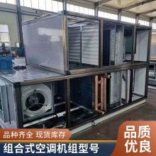 直彭式新风净化车间 恒温恒湿空气处理 组合式空调机组 洁净风冷热泵型机组