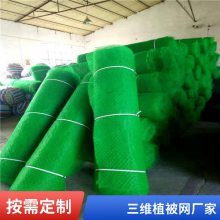 三维复合排水网 长丝HDPE垃圾填埋场过滤网 边坡导流土工网 可定制