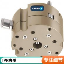 ¹IPR ƷCGS2-100-2 г 150000902