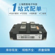 FF100R12YT3Ӣ辧բģ