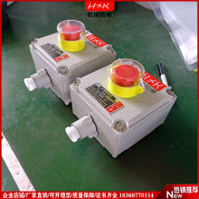 IP66ڹʽ Ͻͣť亽