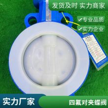 D97A1FPϵжԼʽķ綯͵͵