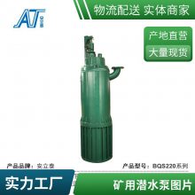 BQS200-350/6-315/NǱˮ ̸ ʴ øɳ۱