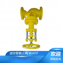 双重密封波纹管无泄漏WJ41F氯气截止阀形成一个金属屏障