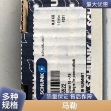 Pi21004DNPS3 յ¹MAHLE 