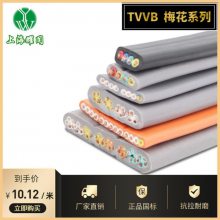 TVVB÷ϵ ͭоĥбƽ ֱ