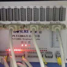 PLC1200������ʾ������ ���ƹ��Ǳ� ����׼ȷ�Ը�