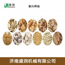 拉丝蛋白生产设备蛋白加工生产线加工素肉的双螺杆膨化机