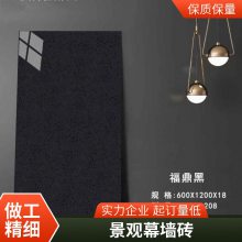 陶瓷干挂幕墙砖 园林水景幕墙瓷砖 600x1200光面仿石pc砖