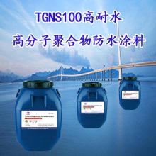 TGNS100ˮ߷ӾۺˮͿ Ϊררҵ