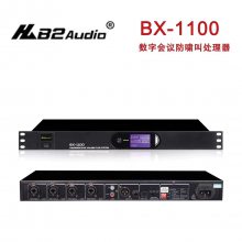 B2 Audio ֻХд BX-1100