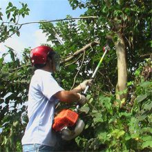 景观树修枝养护工具 便携式汽油高枝锯 果农好帮手
