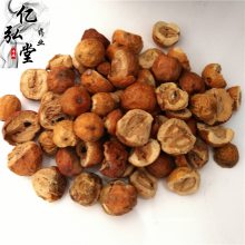 川楝子用法用量/楝实功能主治/苦楝子药用价值