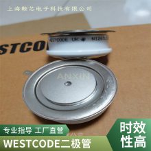 鞍芯半导体元件西码WESTCODE平板二极管SW04PHN400整流管
