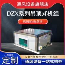  DZX-5ߴռ·յ յĩϵͳ Ǳ궨