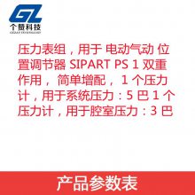 ȫԭװ6DR4004-1M SIPART ܵ綯Ŷλ