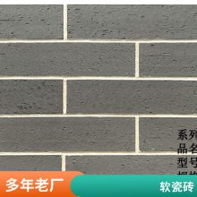 ש ɫש 2mm 40 ѧУǽר ˼
