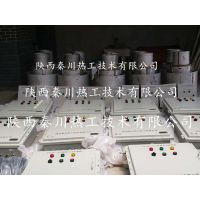 非标定制焦化厂尾气处理放散自动点火系统