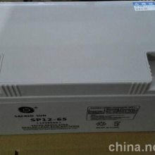ʥSP12-100 ʥ12V100AH UPSר