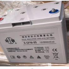 ˫Ǧطܷ6-GFM-85(C10)