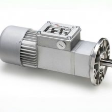 mini motor BC2000 gearֱٵɭ