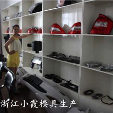 黄岩北城模具 汽配件主机厂塑料模具 汽车保险杠模具专业做