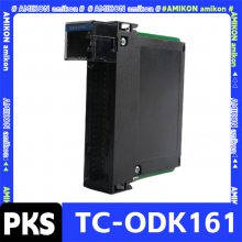 8C-TAIXA1 ģ